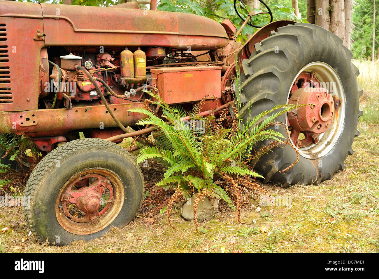 old, abandoned farm tractor near Cherry Point, Vancouver Island