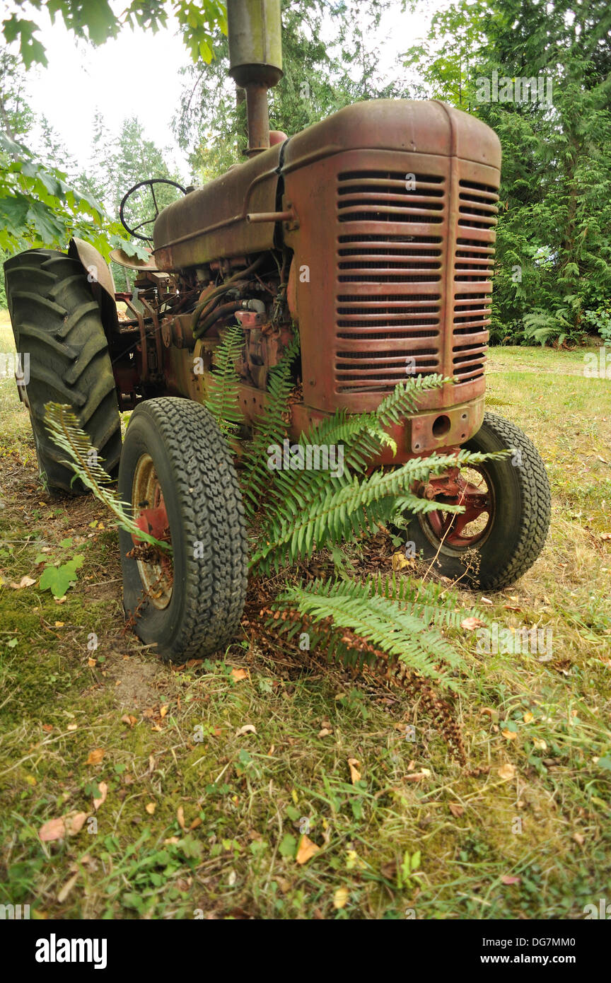 old, abandoned farm tractor near Cherry Point, Vancouver Island ...