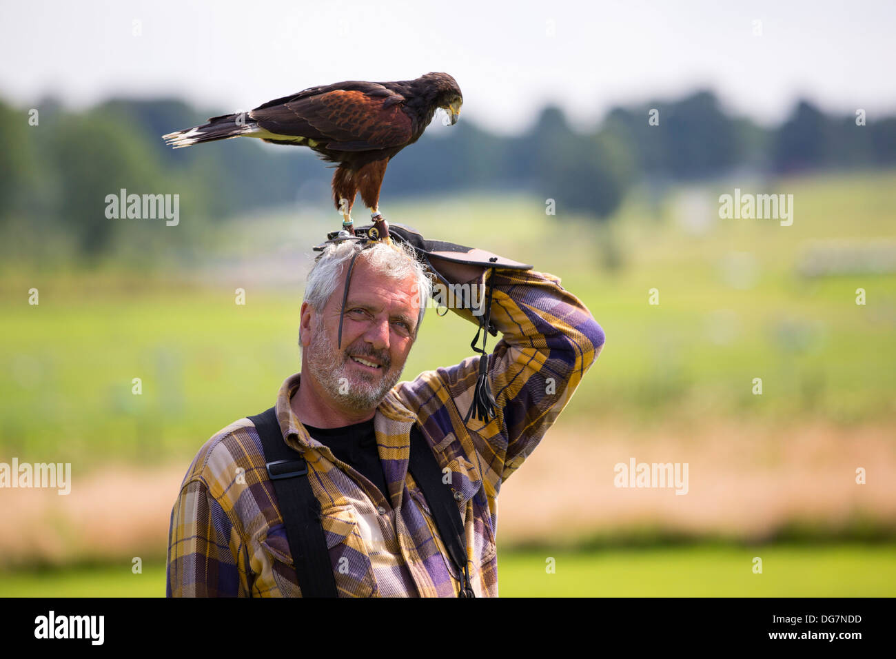 A falconry display at Lowther Bird of Prey Centre, near Penrith