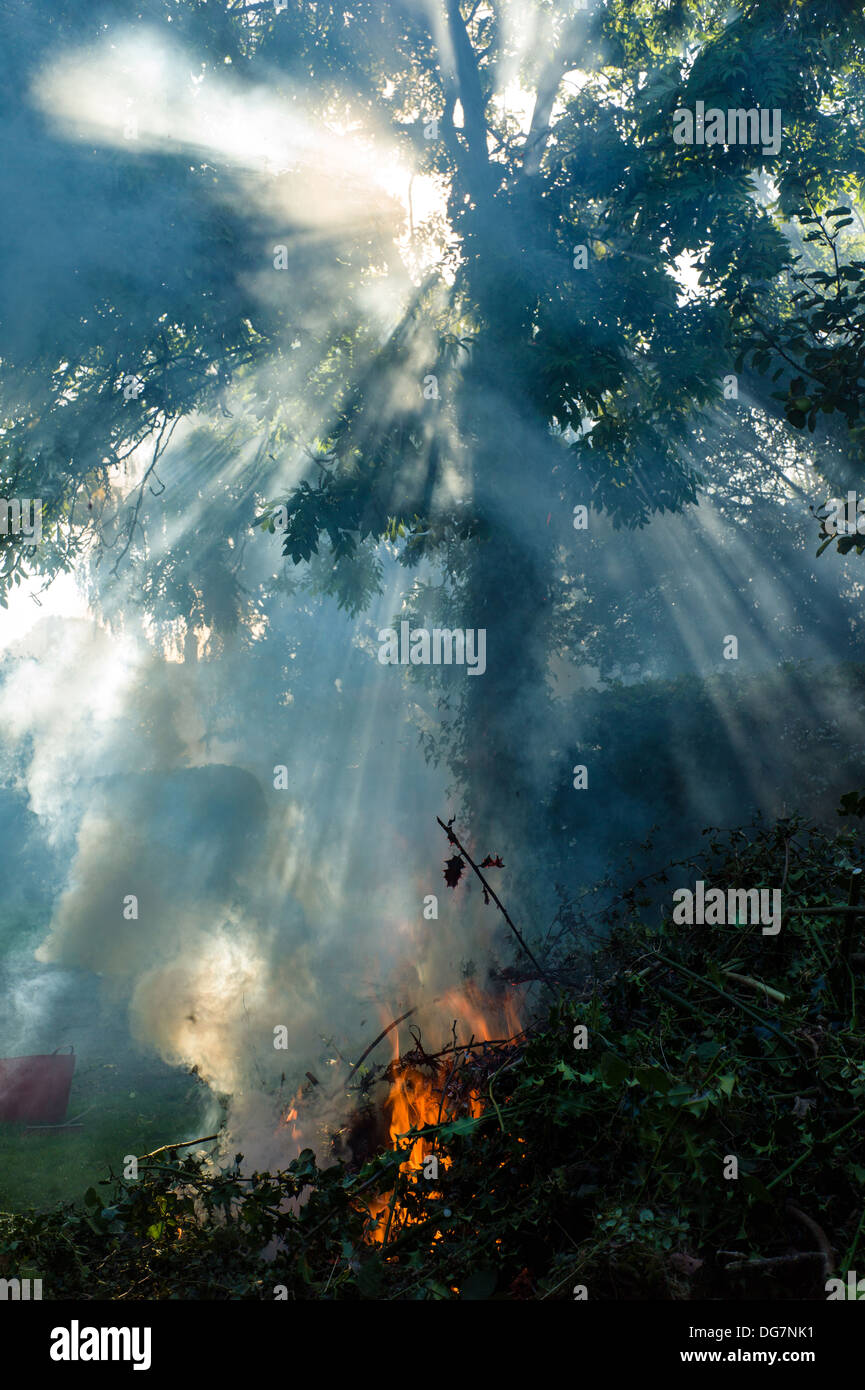 Late summer, early Autumn bonfire Stock Photo