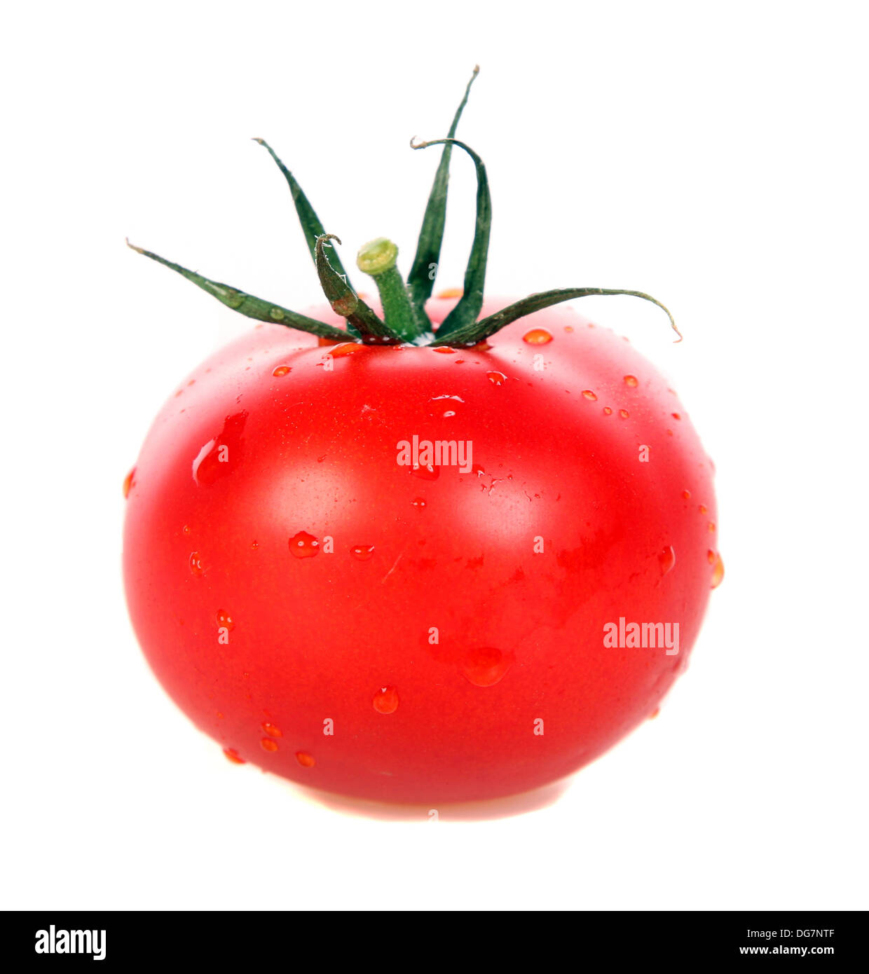 Whole tomato with drops of water Stock Photo