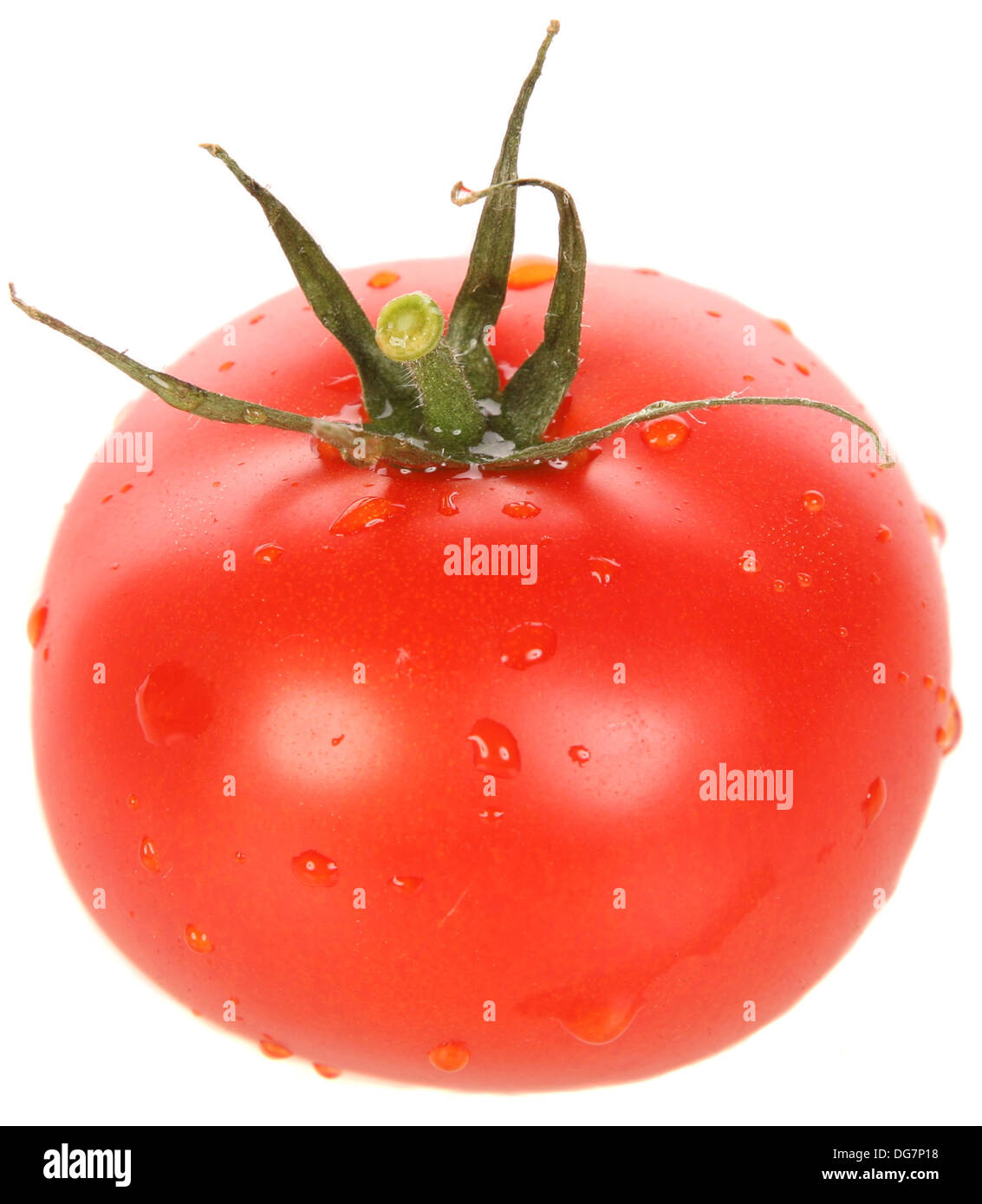 Whole tomato with drops of water Stock Photo