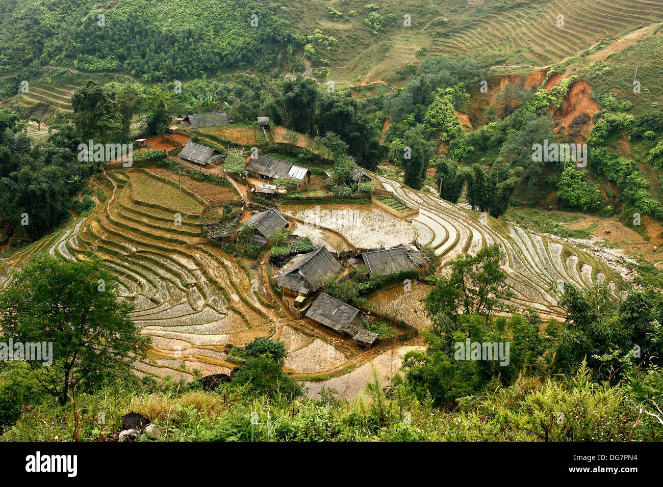 Sapa vietnam terrace high hi-res stock photography and images - Alamy