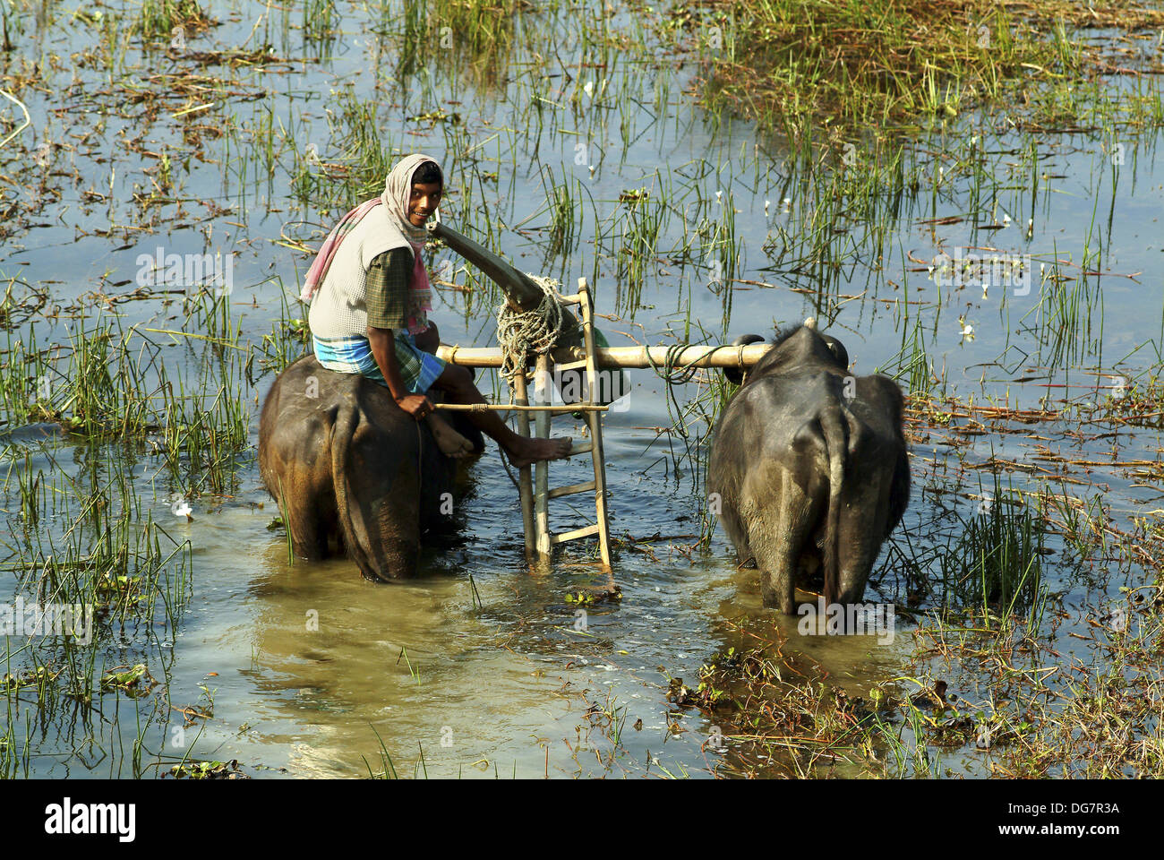 Indian Bison Riding Indian Riding Buffalo _ How Horses Transformed Life for Plains Indians ...