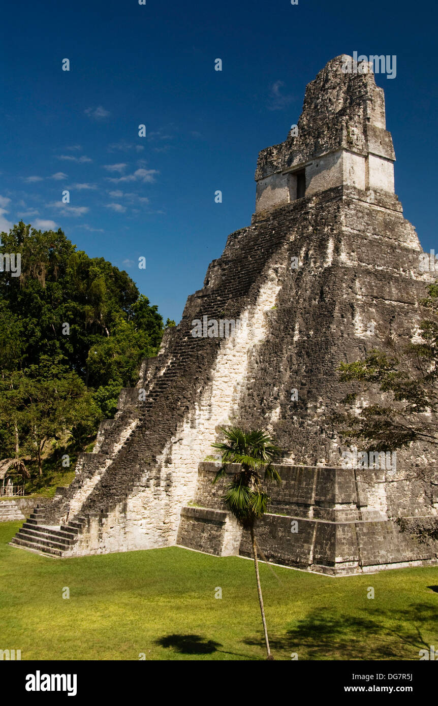 Temple 1 also know as the Jaguar Temple, Tikal National Park, Peten, Guatemala Stock Photo