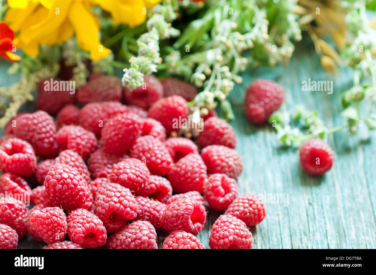 Raspberry Flower High Resolution Stock Photography and Images Alamy