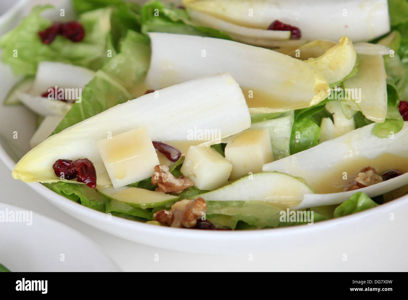 Fresh Endive and Lettuce Salad  Stock Photo