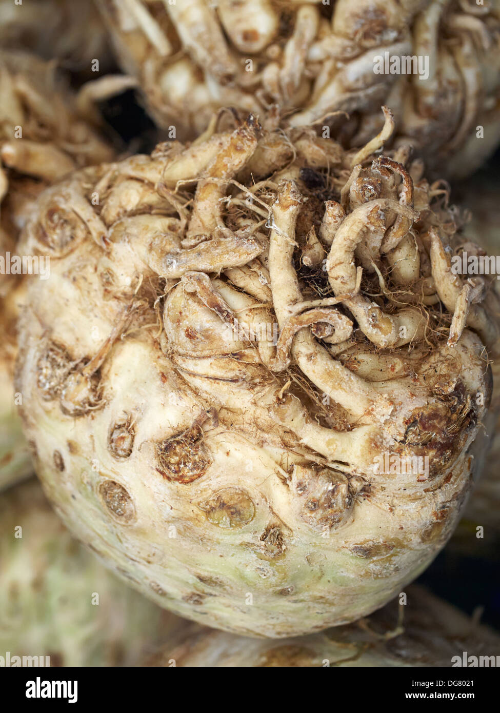 Celery root at a farmer's market, Henley on Thames, England Stock Photo