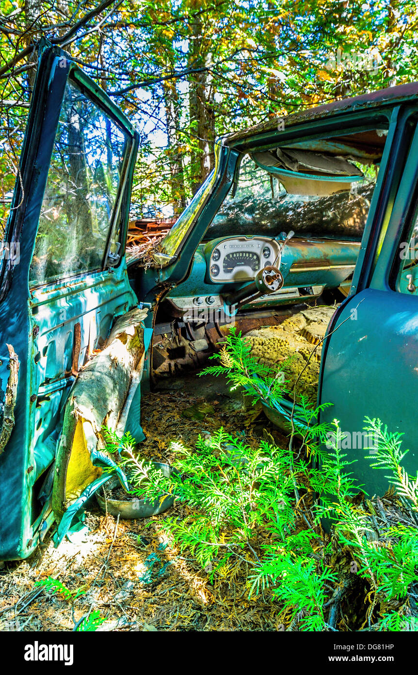 Overgrown junk cars are in nature hi-res stock photography and images ...