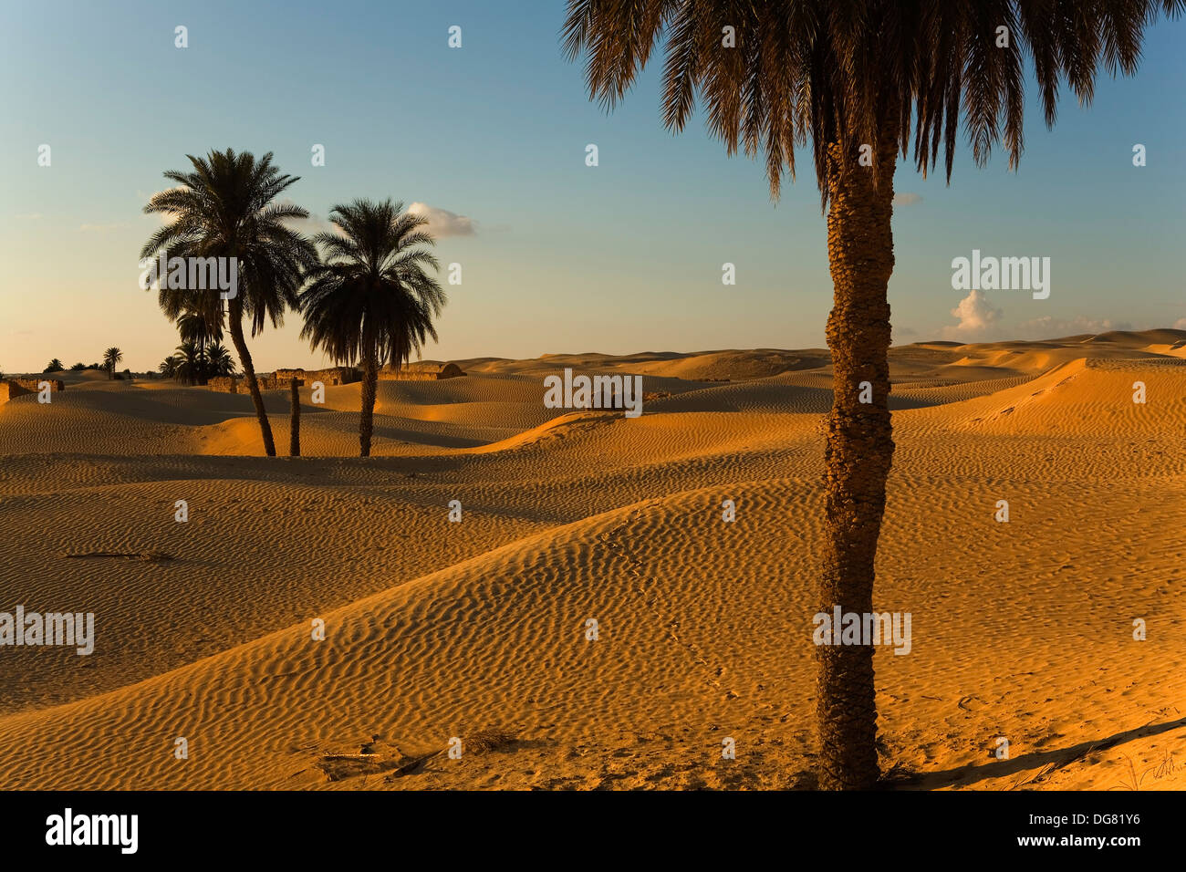 Tunisia.Zaafrane (Douz).Desert Stock Photo