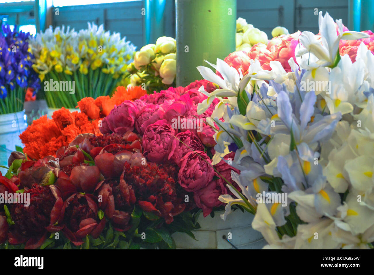 Brightly colored fresh flowers for sale at a farmers market Stock Photo