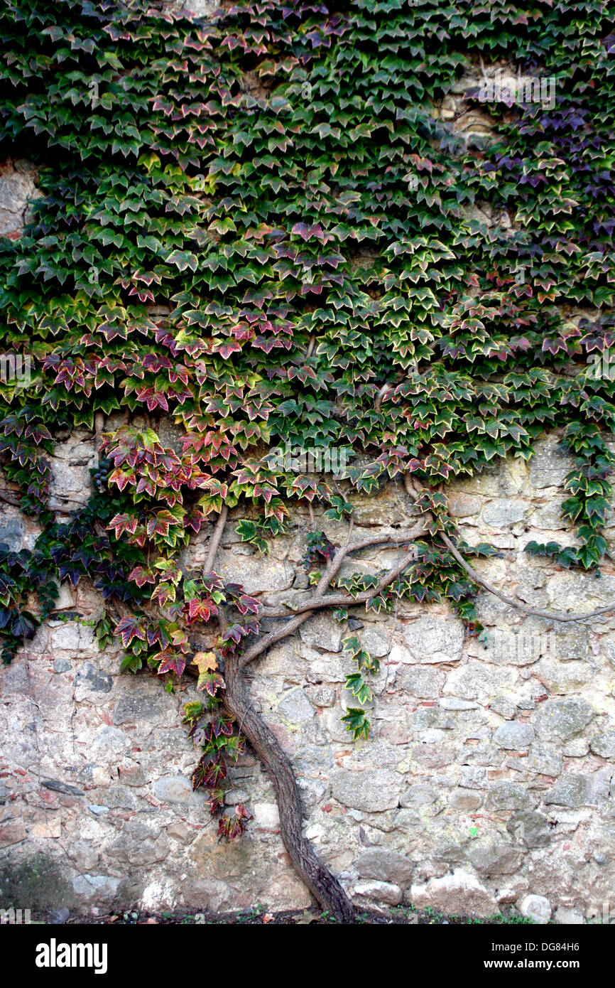 Wall Heura Stock Photos Wall Heura Stock Images Alamy - 