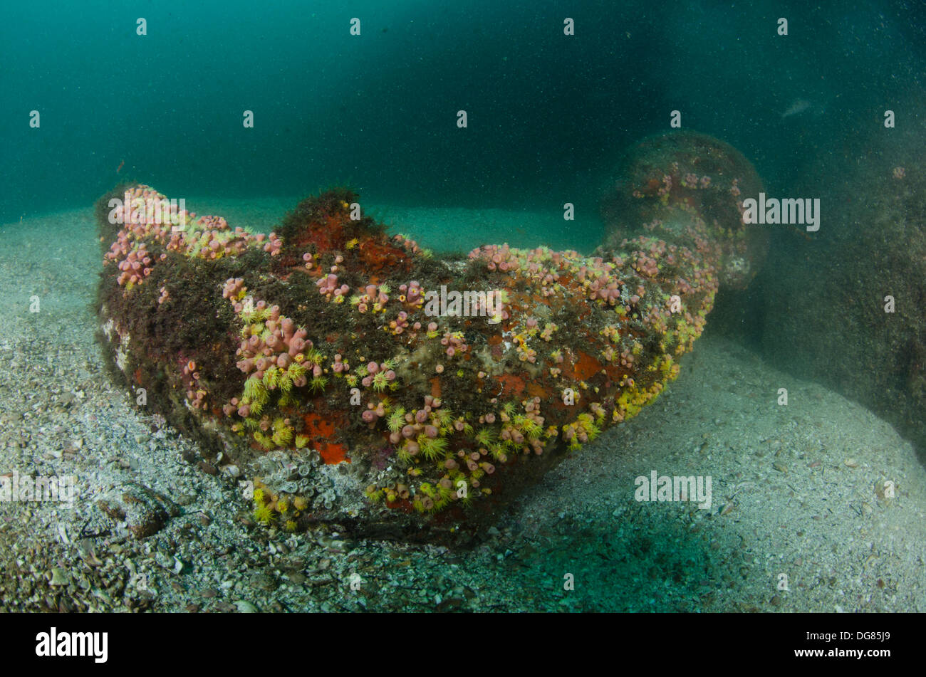 underwater statues covered with corals at Buzios island underwater