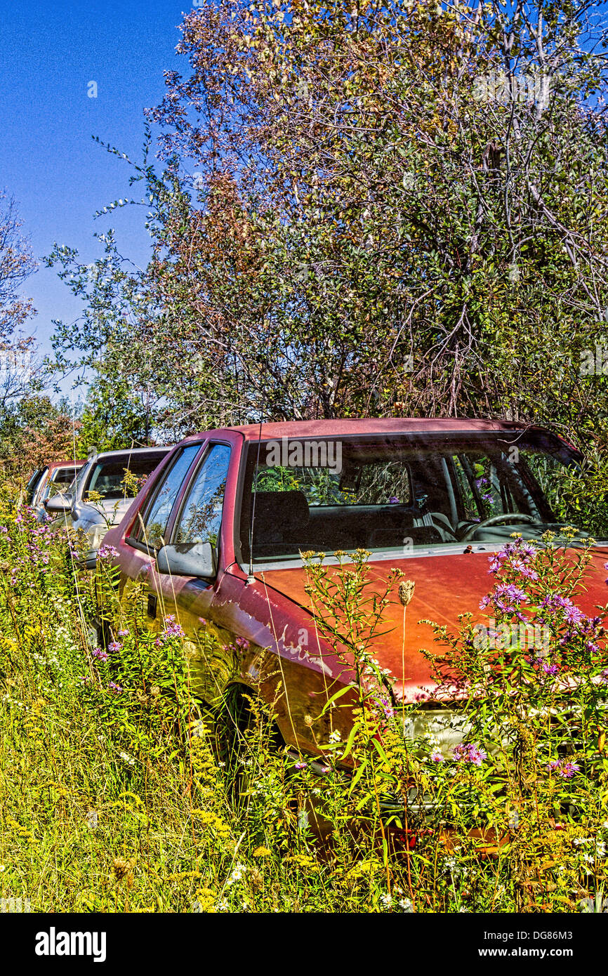 Junkyard in forest junk car hi-res stock photography and images - Alamy