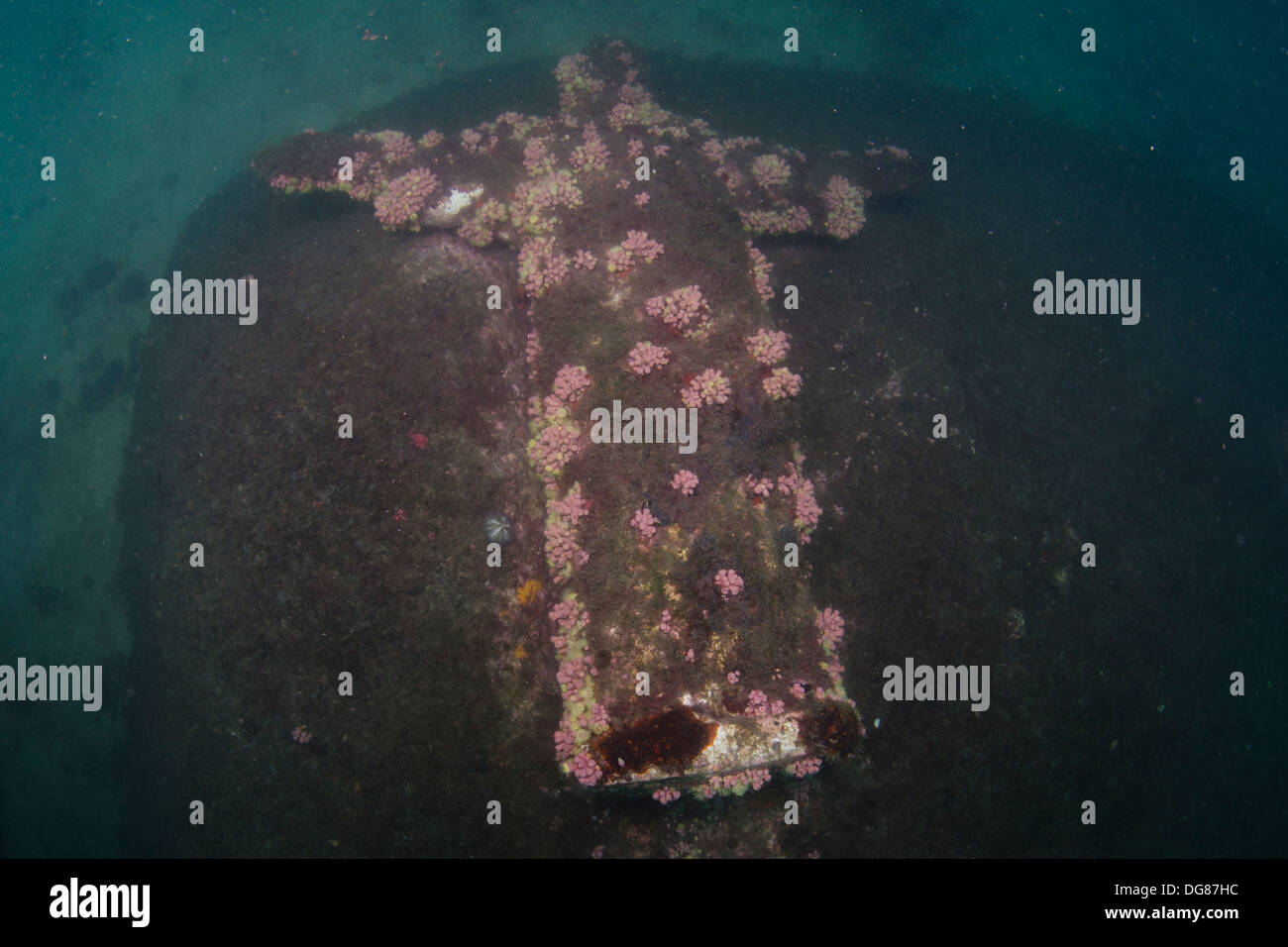 underwater statues covered with corals at Buzios island underwater