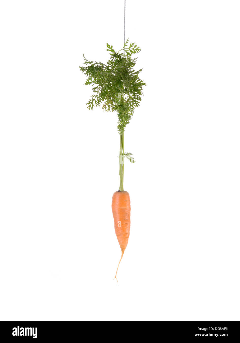 Carrot hanging on a string as Carrot and stick approach metaphor Stock Photo