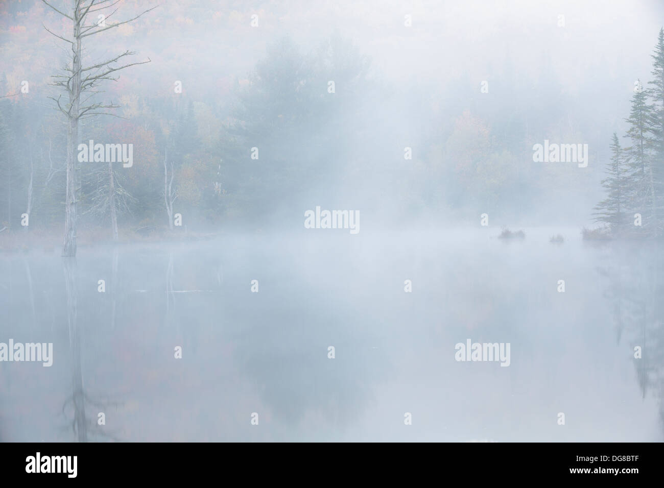 Wildlife Pond in Bethlehem, New Hampshire USA during the autumn months