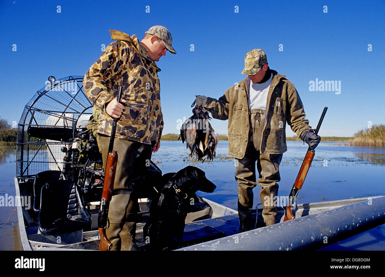 Duck hunters loading their dog and ducks into an airboat while hunting near Tivoli Texas Stock Photo
