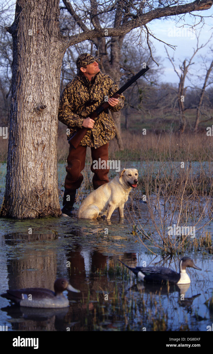 A duck hunter calling ducks with his yellow Labrador retriever hunting
