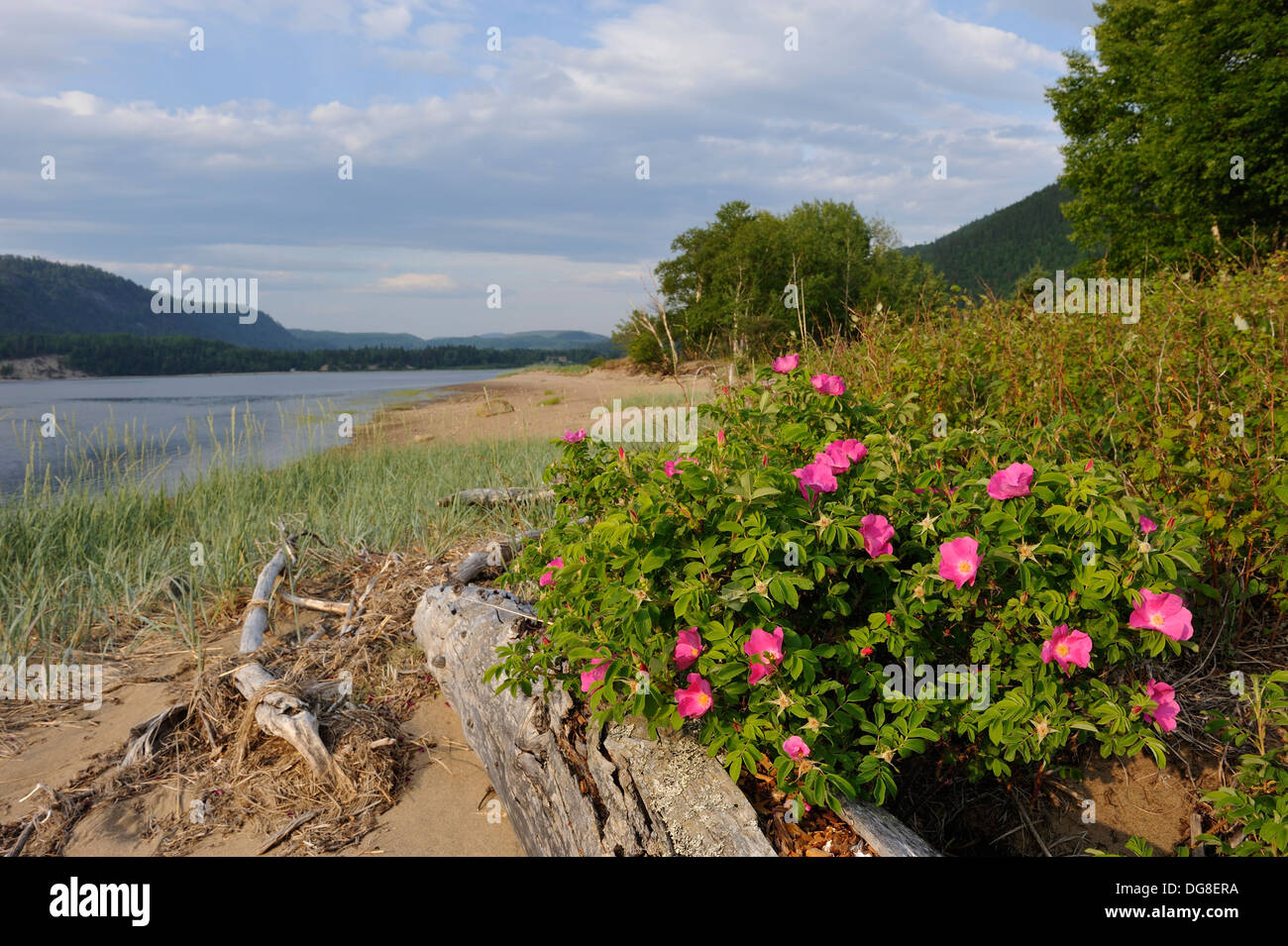 Sainte marguerite bay quebec hires stock photography and images Alamy