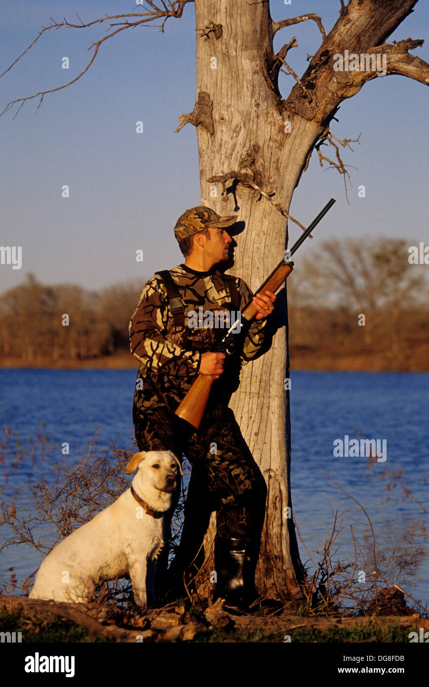 A duck hunter calling ducks with his yellow Labrador retriever hunting dog in a marsh lake near Austin Texas Stock Photo