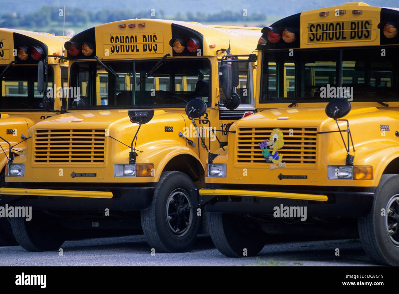 school bus, Lancaster County, Pennsylvania, United States Stock Photo Alamy