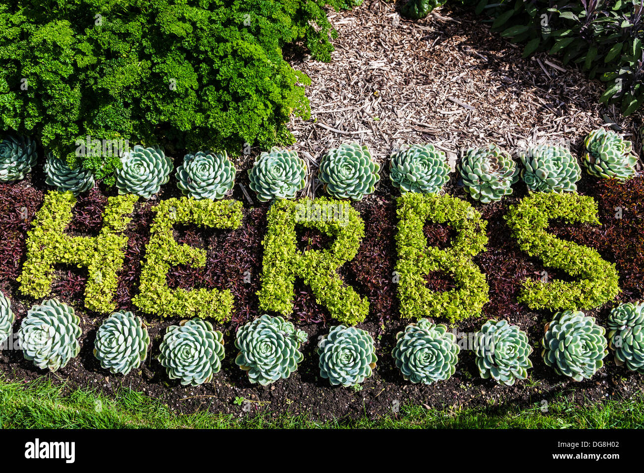 Detail of the herb and flower bedding display based on the childrens' TV show 'The Herbs' in the Parade Gardens, Bath, UK. Stock Photo
