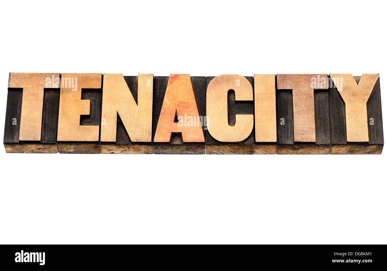 tenacity word - isolated text in vintage letterpress wood type Stock Photo