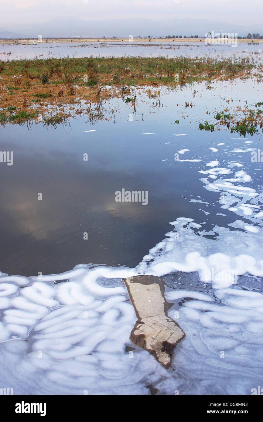 Water pollution, Mexico City. Mexico D.F., Mexico Stock Photo Alamy