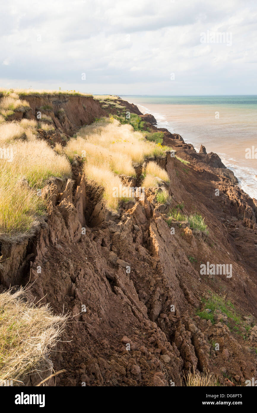 Rapidly eroding sea cliffs at Aldbrough on Yorkshires East Coast, UK. Stock Photo