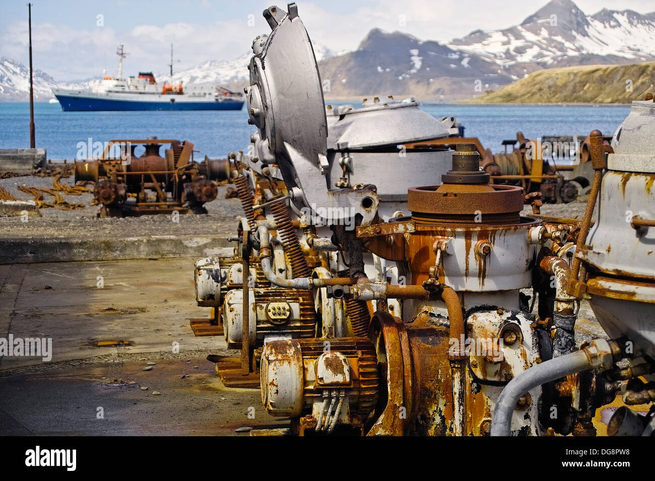 Whale blubber hires stock photography and images Alamy