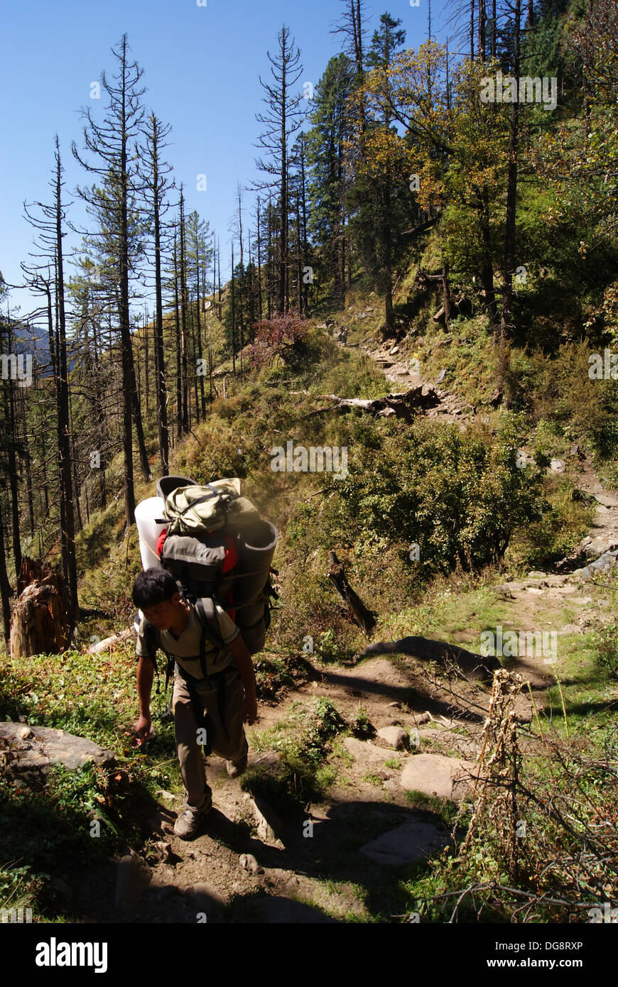 Bhotia porter on the Har Ki Doon Trail, Uttarakhand, India Stock Photo