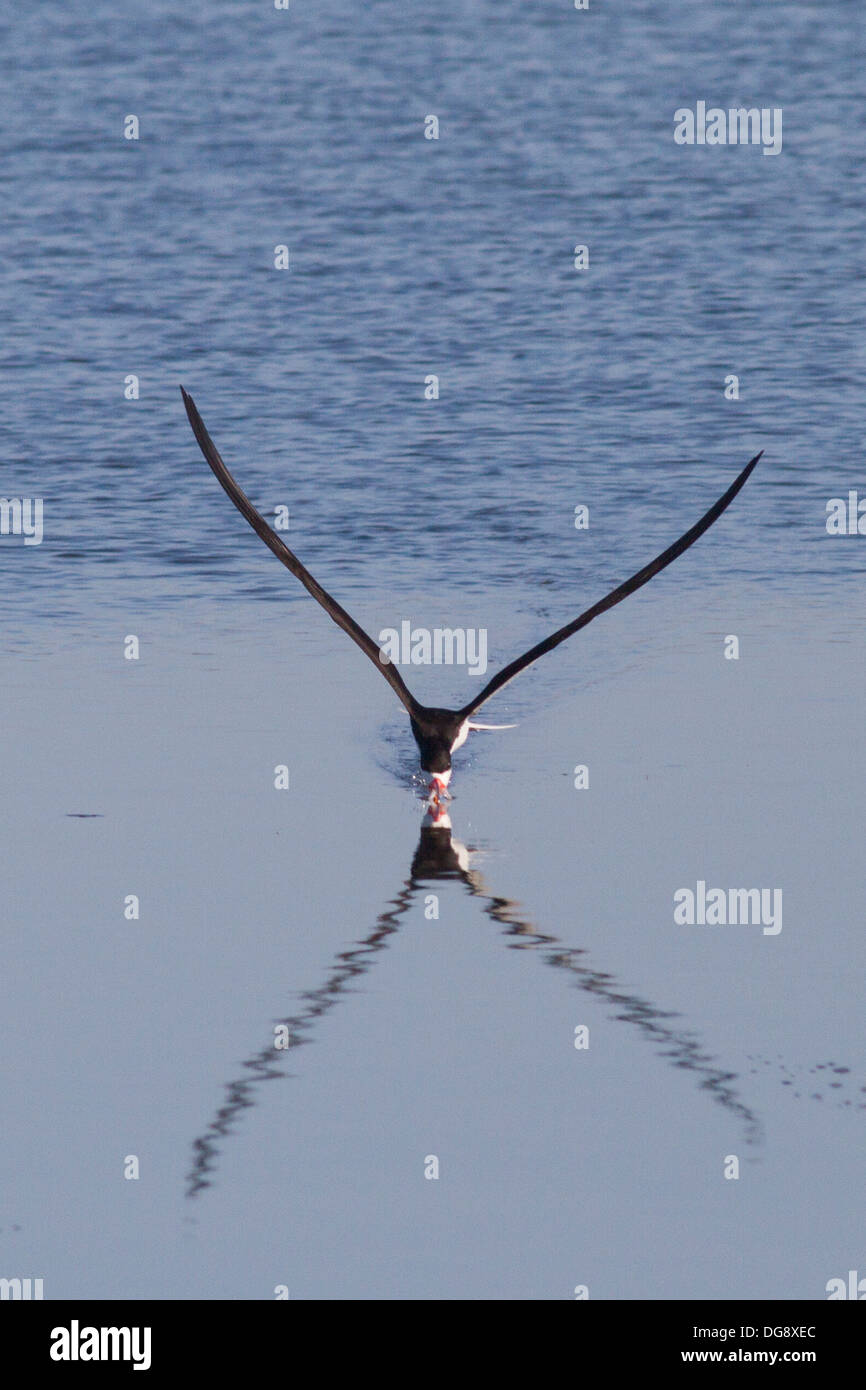 handbolsa repair dublin