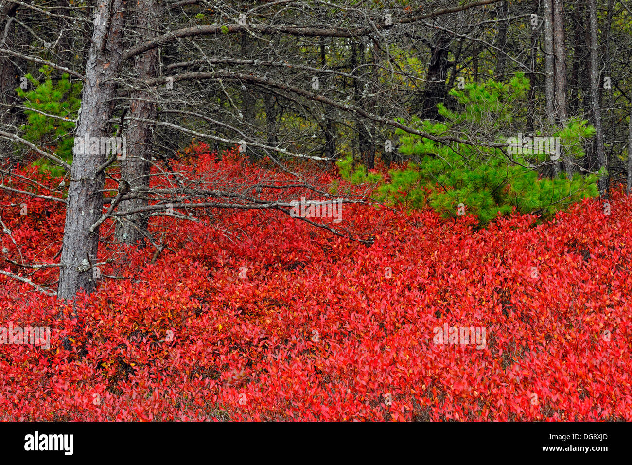 Marquette michigan hires stock photography and images Alamy
