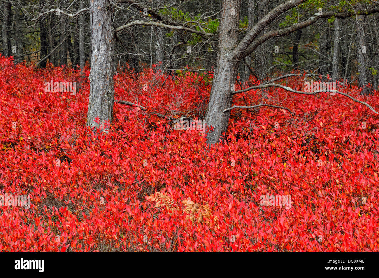 Marquette michigan hires stock photography and images Alamy