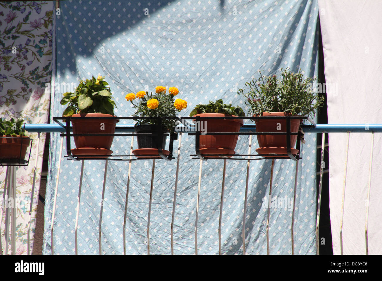 flower pots on balcony railings in flat in rome italy Stock Photo - Alamy