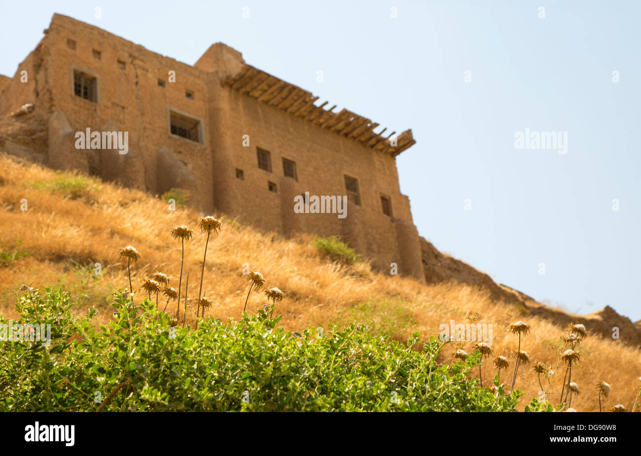 Outer wall of the Erbil citadel, Kurdistan, Iraq in the background of some vegetation. Stock Photo