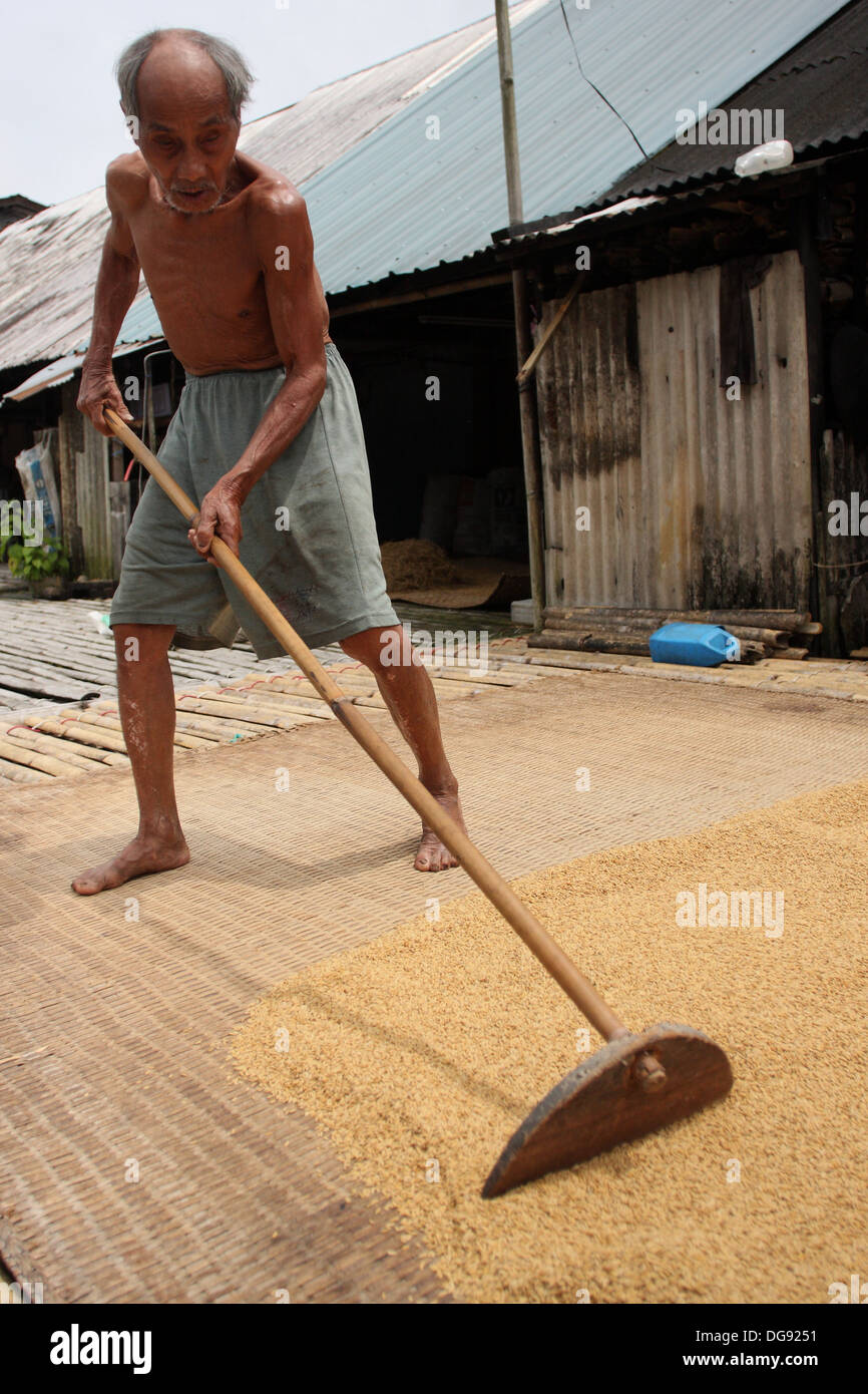 Bamboo rake hi-res stock photography and images - Alamy