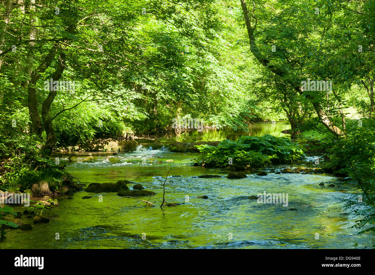 River Dove in Dovedale, Derbyshire, England Stock Photo