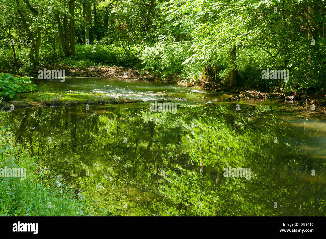 Reflections in Dovedale, Derbyshire, England Stock Photo