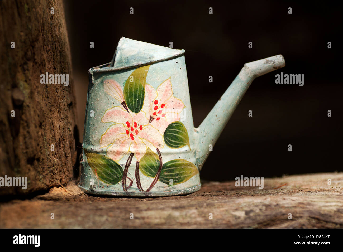 Watering Can (or Watering Pot) - Living Waters - Balsam Grove, North Carolina USA Stock Photo