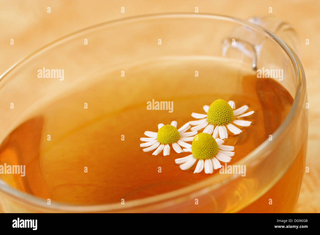 Camomile (Matricaria chamomilla) infusion Stock Photo Alamy