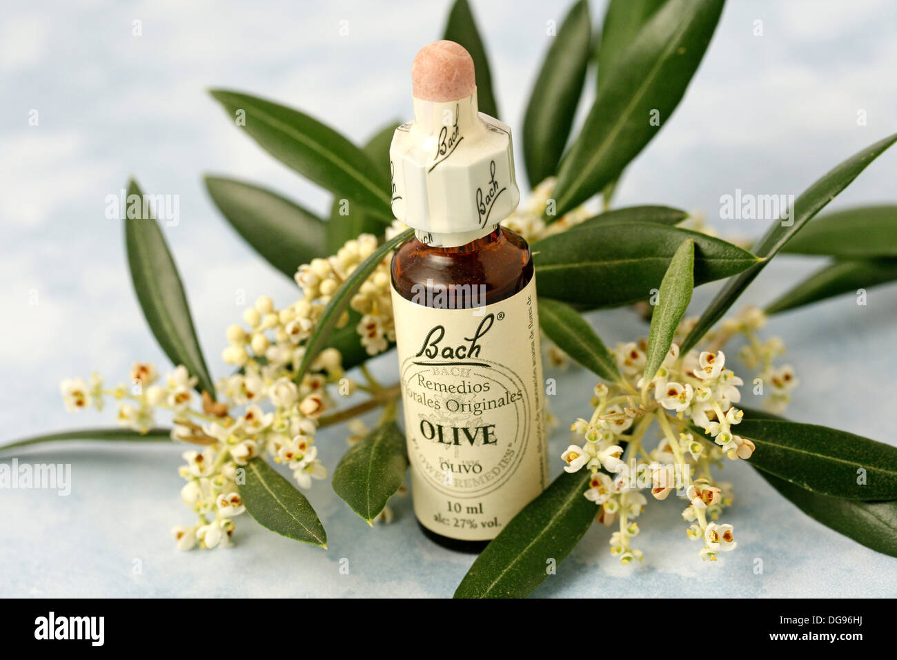 Olive, Bach flower remedy Stock Photo