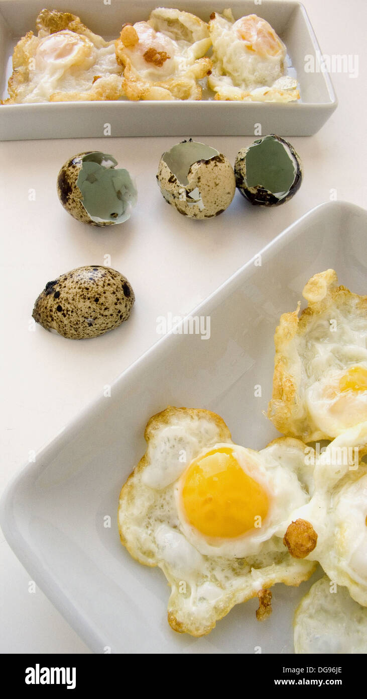 Fried quail eggs Stock Photo Alamy