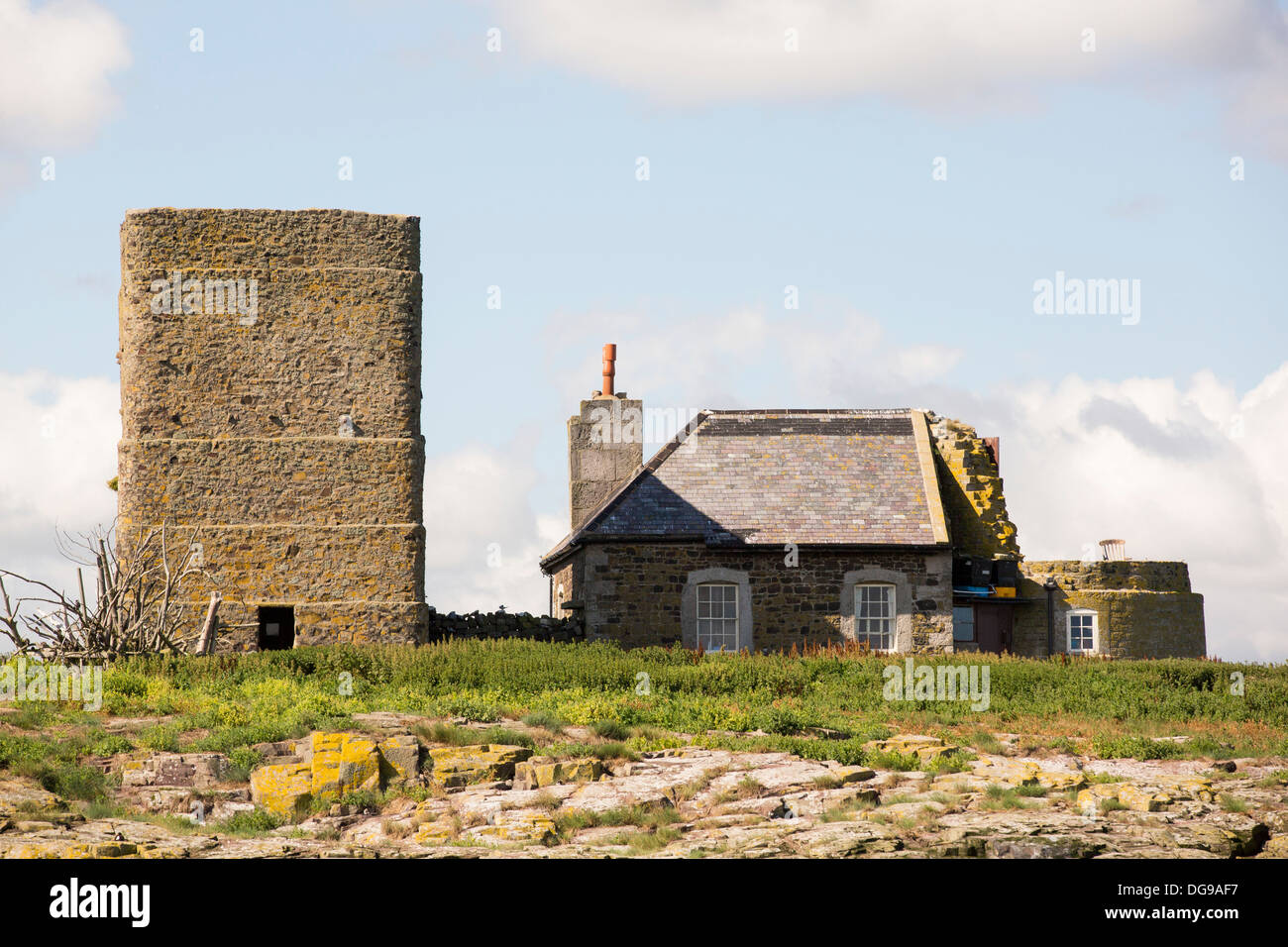 Inner Farne, on the Farnes Islands, off Seahouses in Northumberland, UK, with an ancient Pele Tower, built to house monks Stock Photo