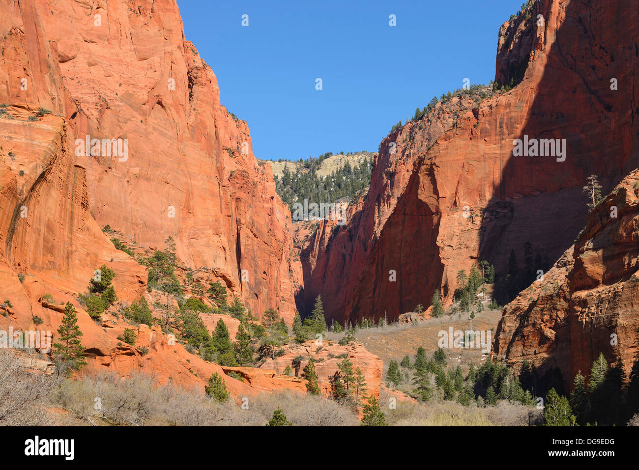 Kolob Canyons, Zion National Park, Utah, USA Stock Photo
