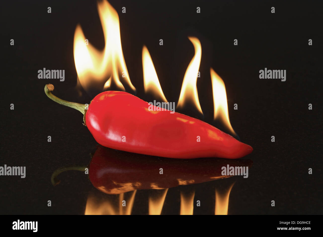 Red pepper with flames Stock Photo Alamy