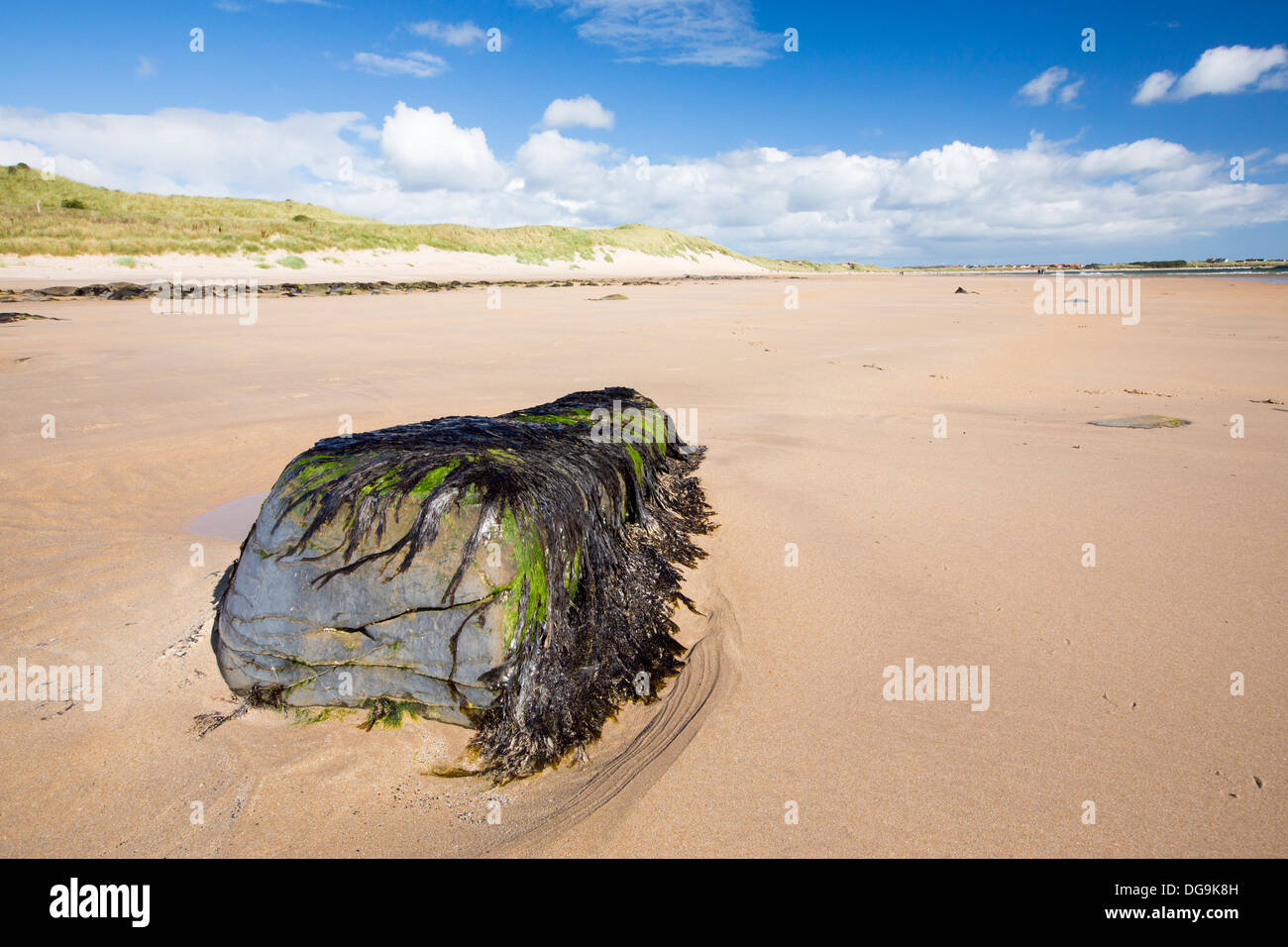 Beadnell Bay, in Northumberland, UK. Stock Photo