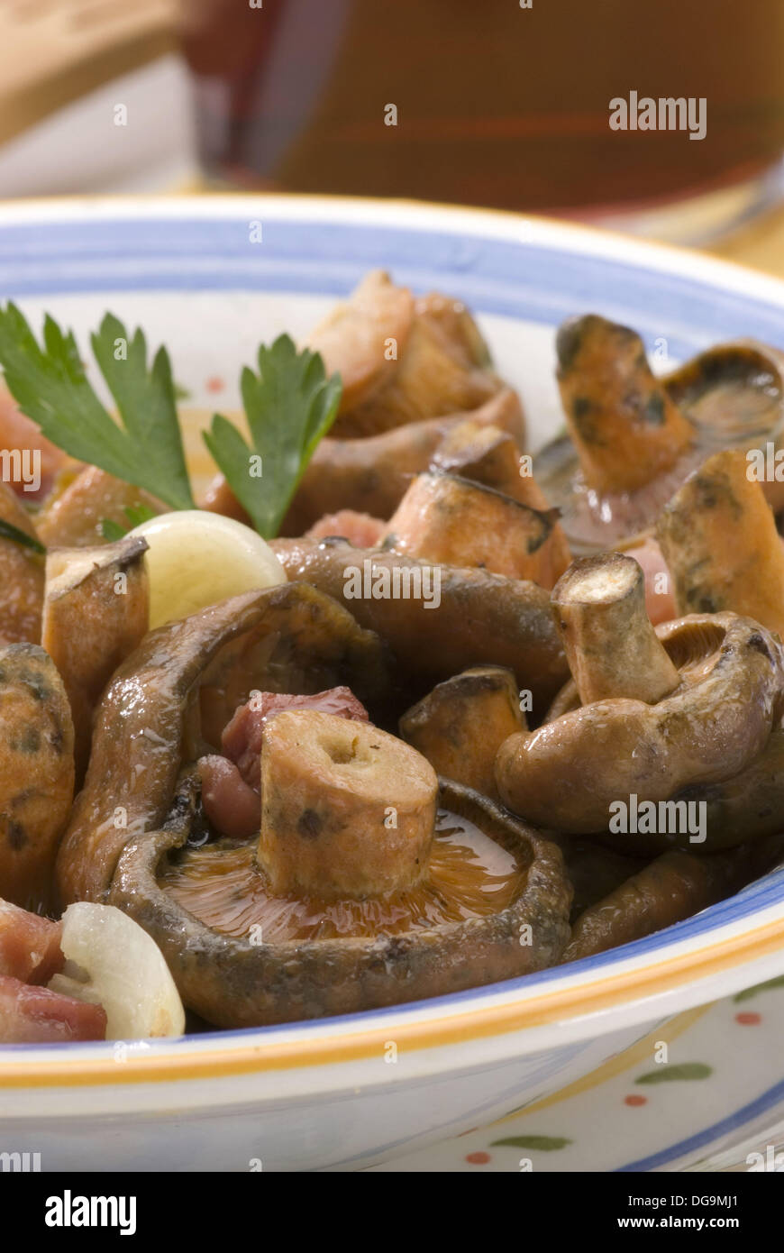 Stir fry of mushrooms Stock Photo Alamy
