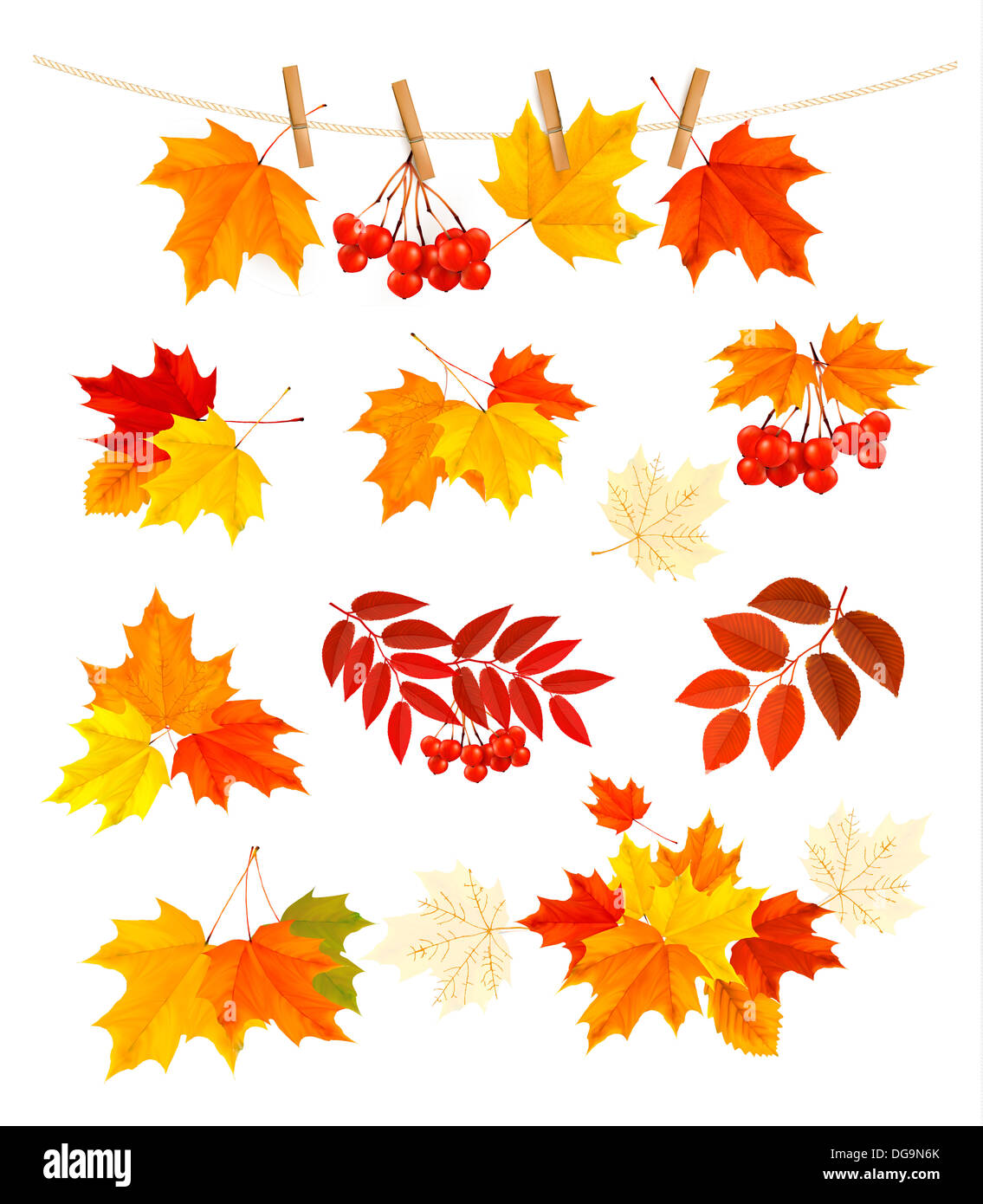 Autumn background with colorful leaves. Design elements. Vector ...